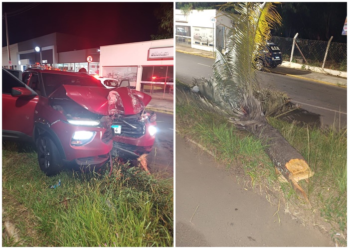 Motorista colide  picape em palmeira, que é arrancada de canteiro em Pirassununga