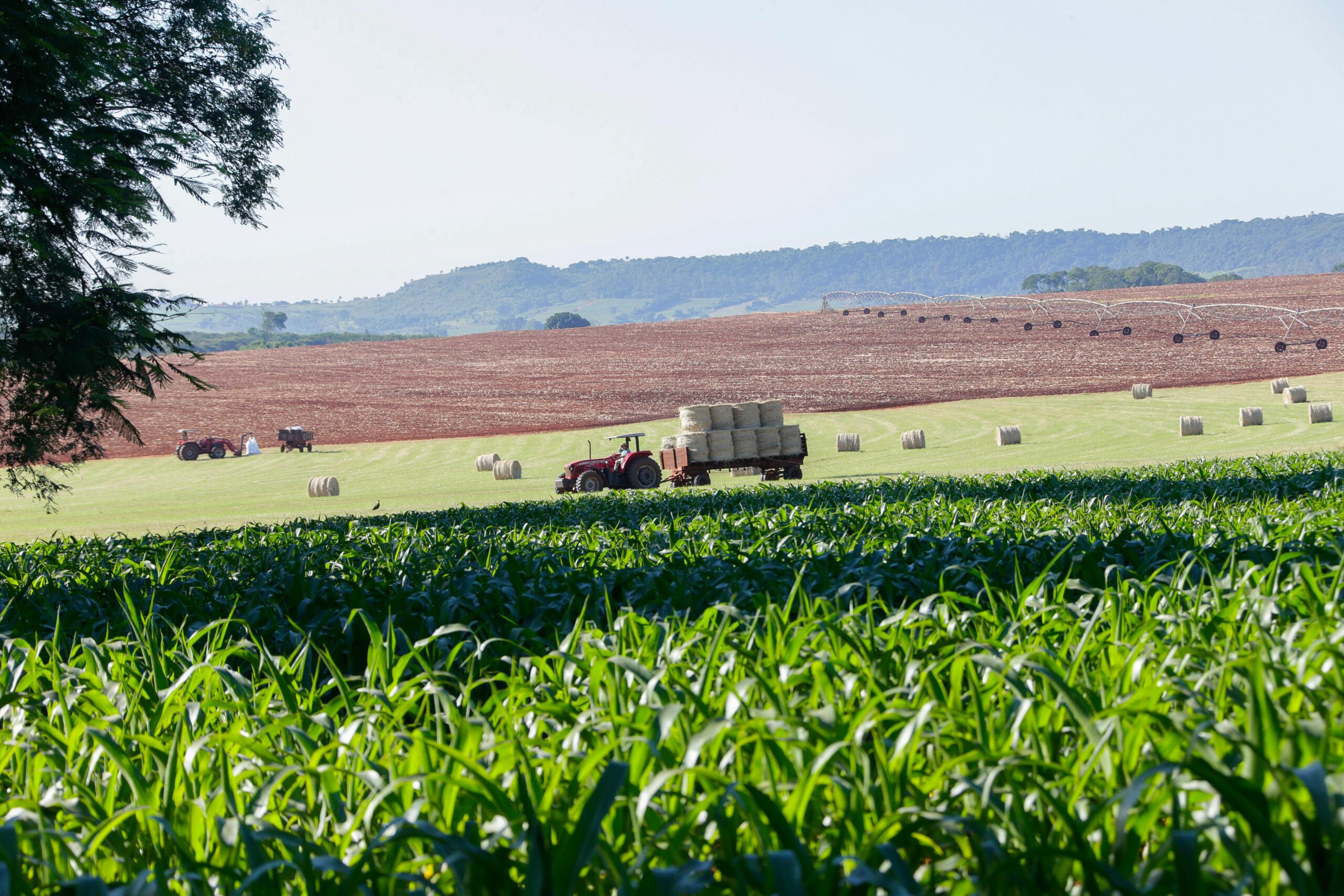 Marcos Santos/USP Imagens