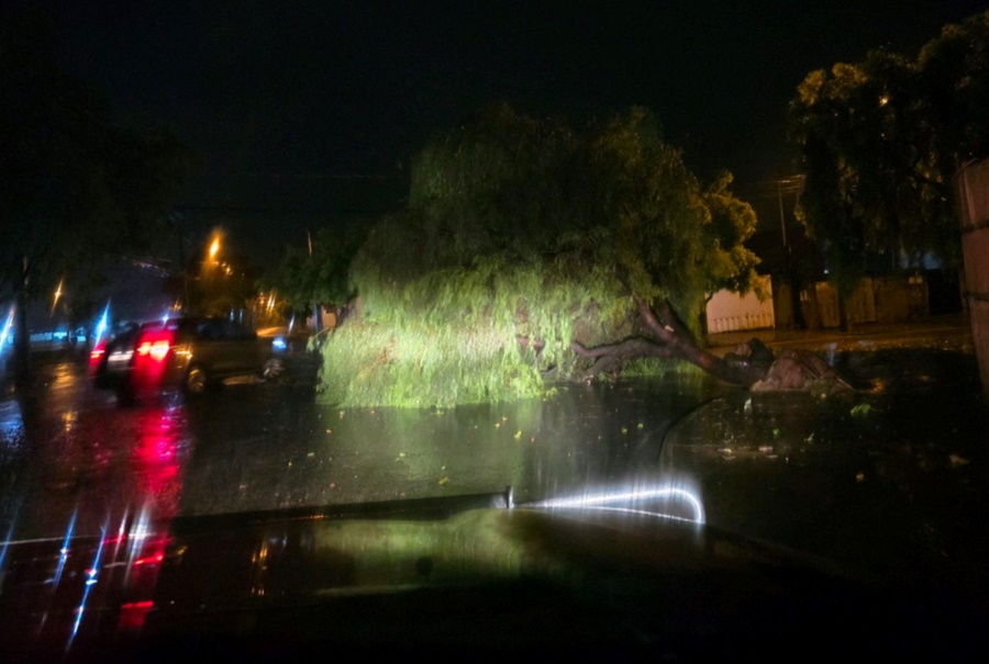Temporal derruba árvores e interdita ruas na noite desta quarta (18) em Pirassununga
