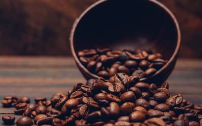 Café hoje: confira as cotações para esta terça-feira (24)