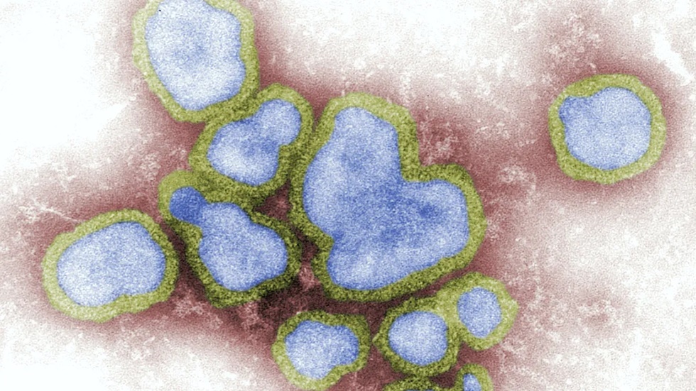 INFLUENZA: Pirassununga registra primeira morte por gripe em 2026