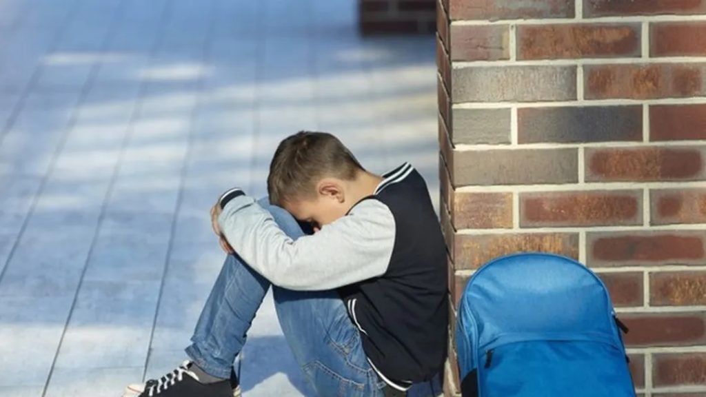 Nova lei obriga escolas de Pirassununga a notificarem casos graves envolvendo alunos