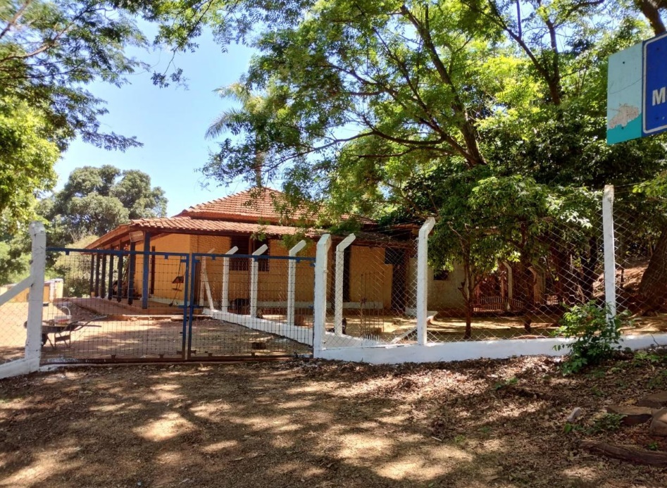 Pirassununga abre seleção para entidade assumir Abrigo Municipal e atendimento veterinário