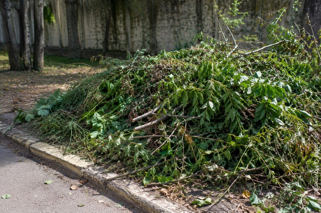Aterro de Pirassununga limita descarte de resíduos verdes; entenda o motivo